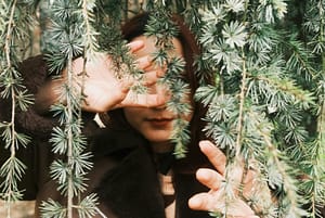 Achtsam wandern im Wald / Achtsamkeit